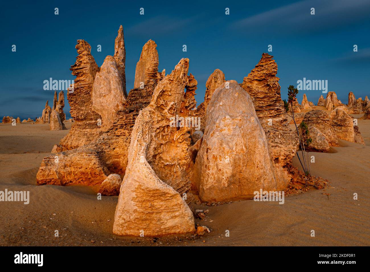 Eccezionali pinnacoli nel Parco Nazionale di Nambung. Foto Stock