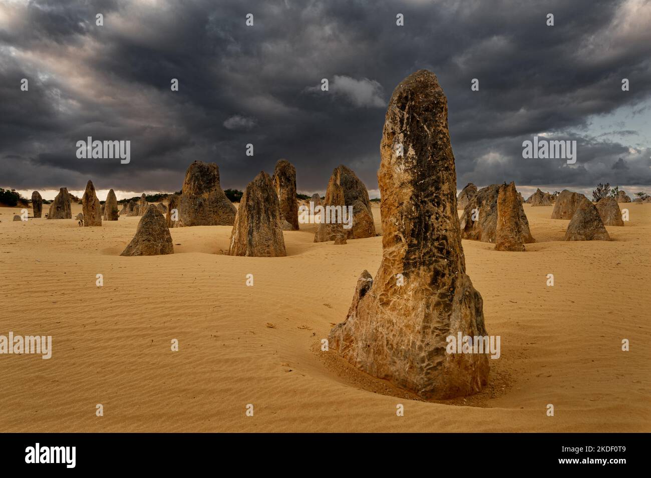 Eccezionali pinnacoli nel Parco Nazionale di Nambung. Foto Stock