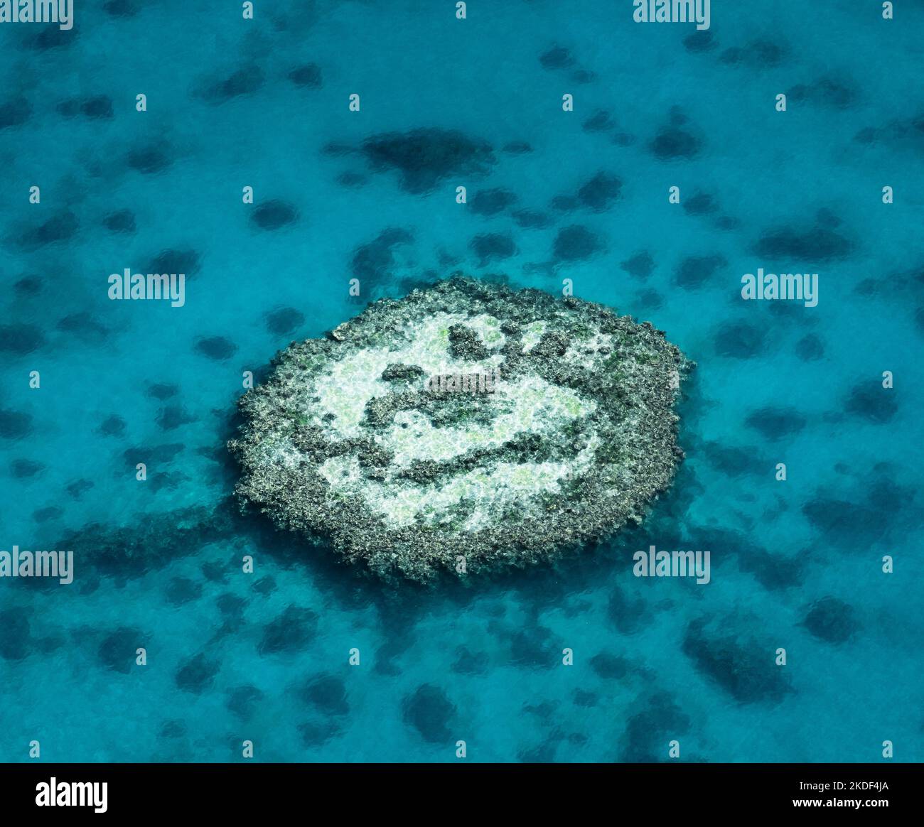Ripresa aerea di una divertente barriera corallina smiley nella Grande barriera Corallina. Foto Stock