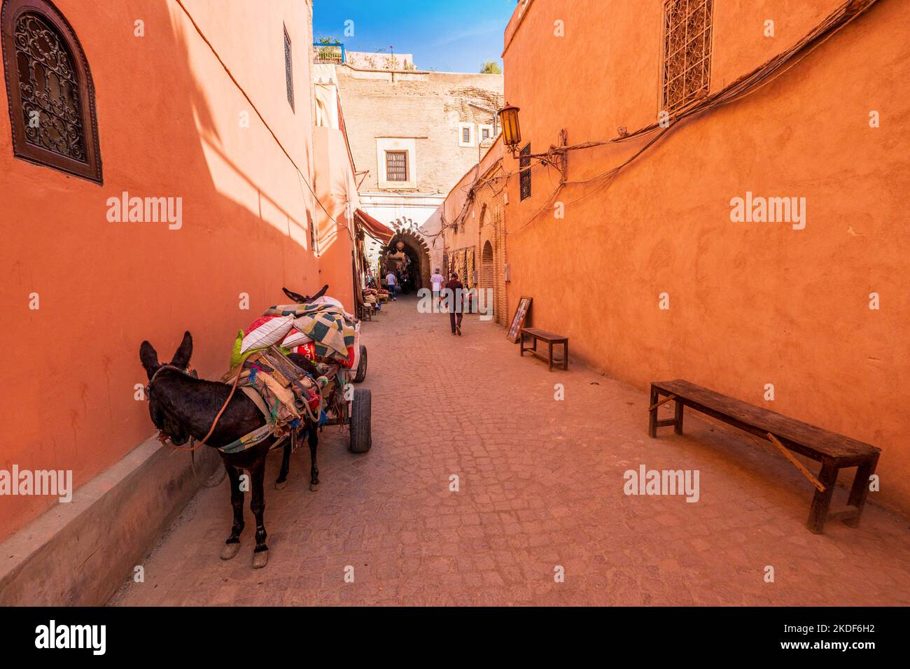 Nella medina (città vecchia) di Marrakech, gli asini del Marocco sono ancora utilizzati per il trasporto Foto Stock