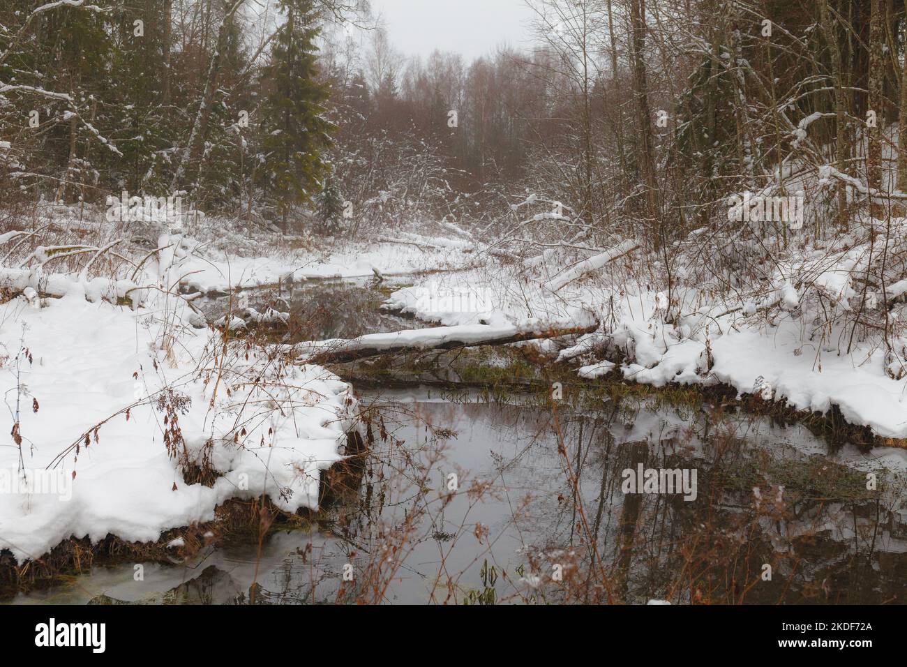 Il piccolo fiume con neve intorno e una foresta vicino coperto di neve in inverno Foto Stock