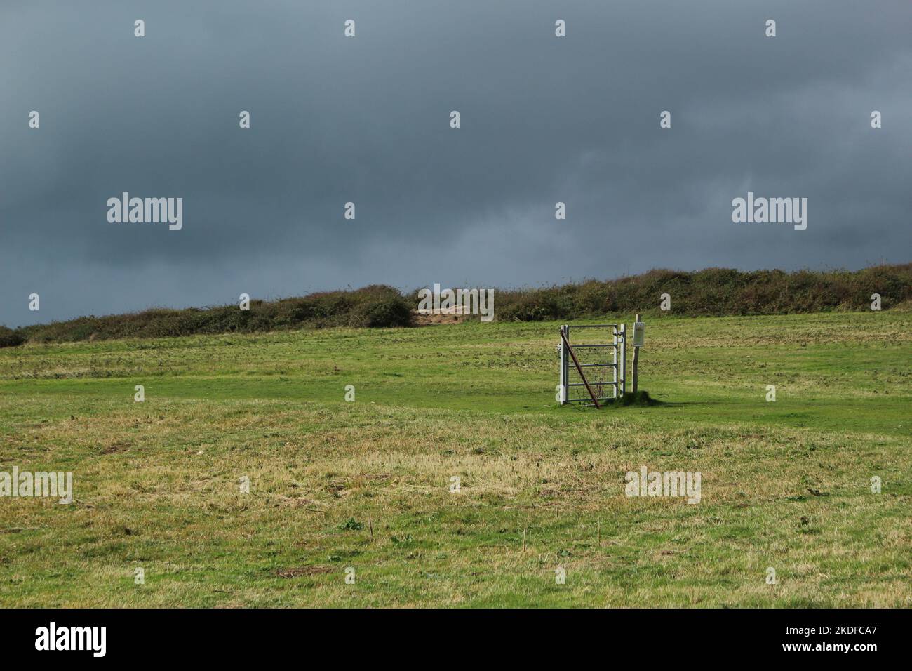 Cancello isolato in un prato verde senza recinzioni intorno ad esso e cielo nuvoloso sopra. Concetto di isolamento, da solo, surreale, fantasma, astratto, tempesta Foto Stock
