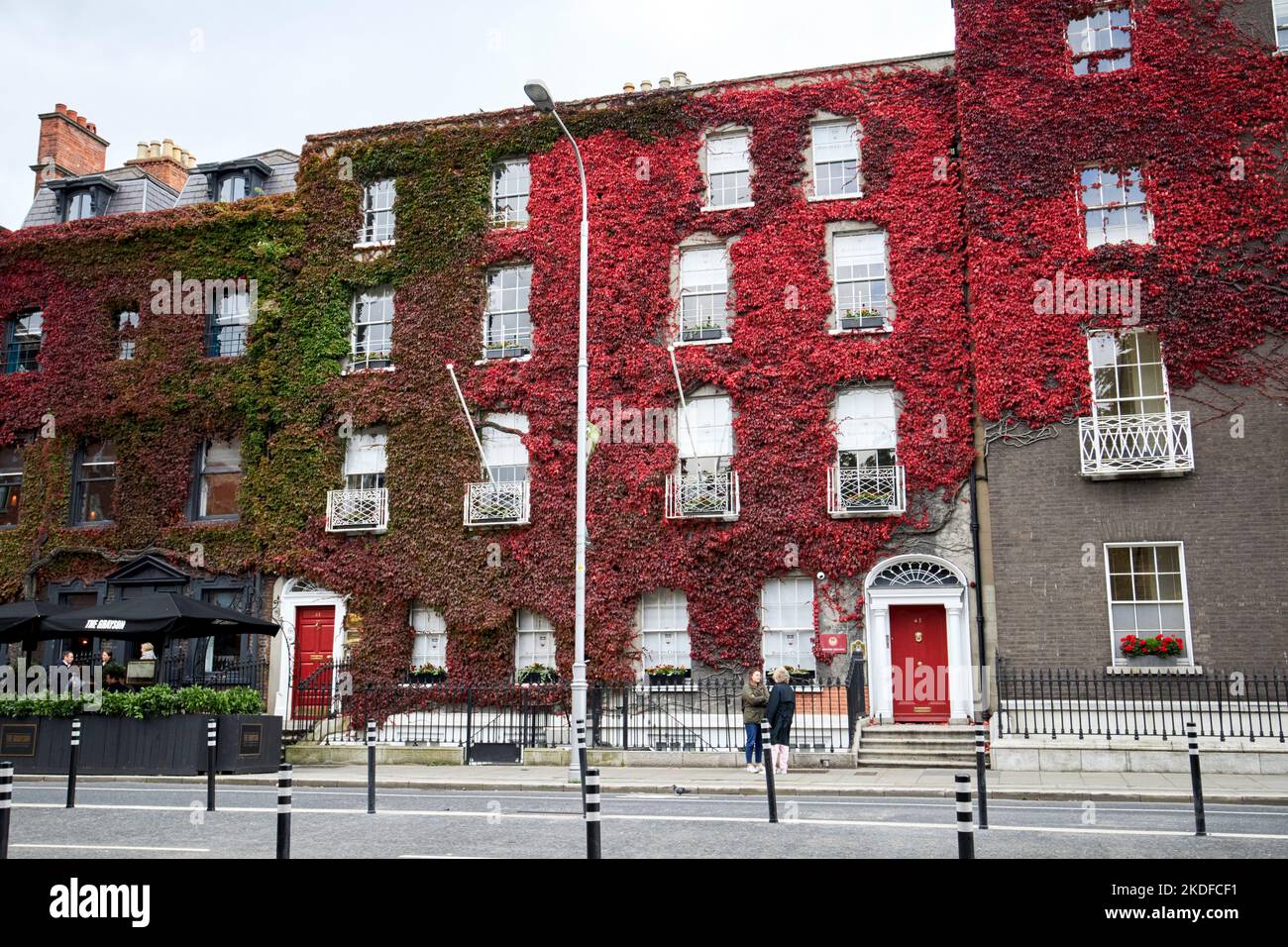 l'edera rossa copriva l'università di boston irlanda st stephens verde dublino repubblica d'irlanda Foto Stock