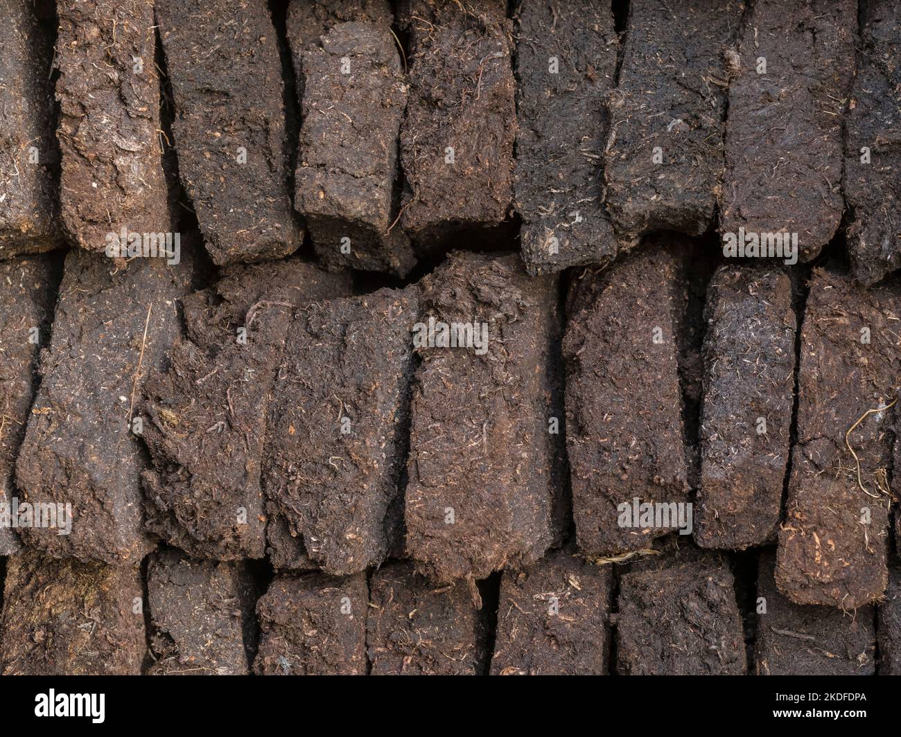 Blocchi di torba impilati in capannone croft, Shetland continentale, Shetland Foto Stock