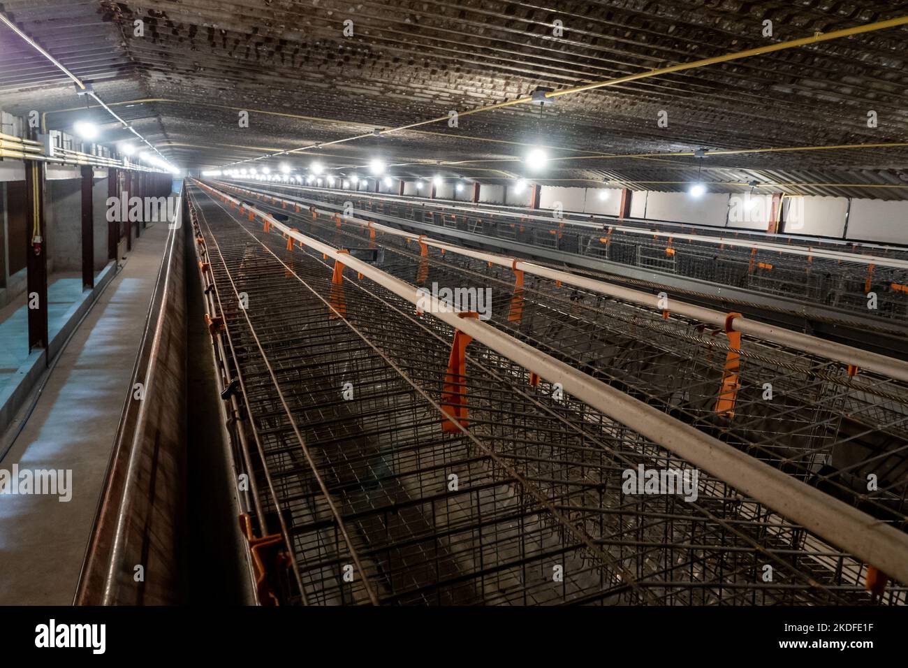 Le gabbie di deposizione vuote nella fattoria di pollo Foto Stock