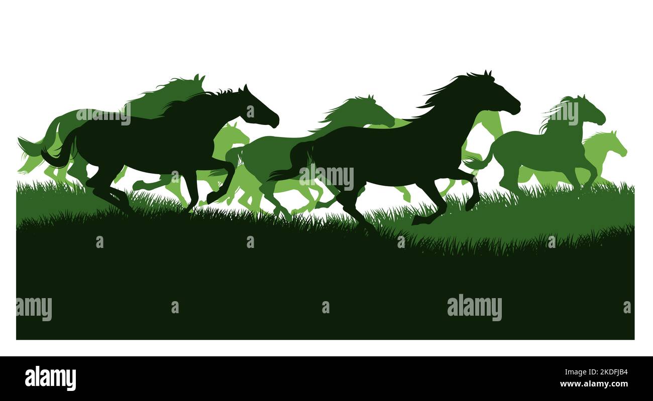 Gregge di cavalli galoppa veloce. Silhouette dell'immagine. Animali selvatici e domestici. Isolato su sfondo bianco. Vettore. Illustrazione Vettoriale