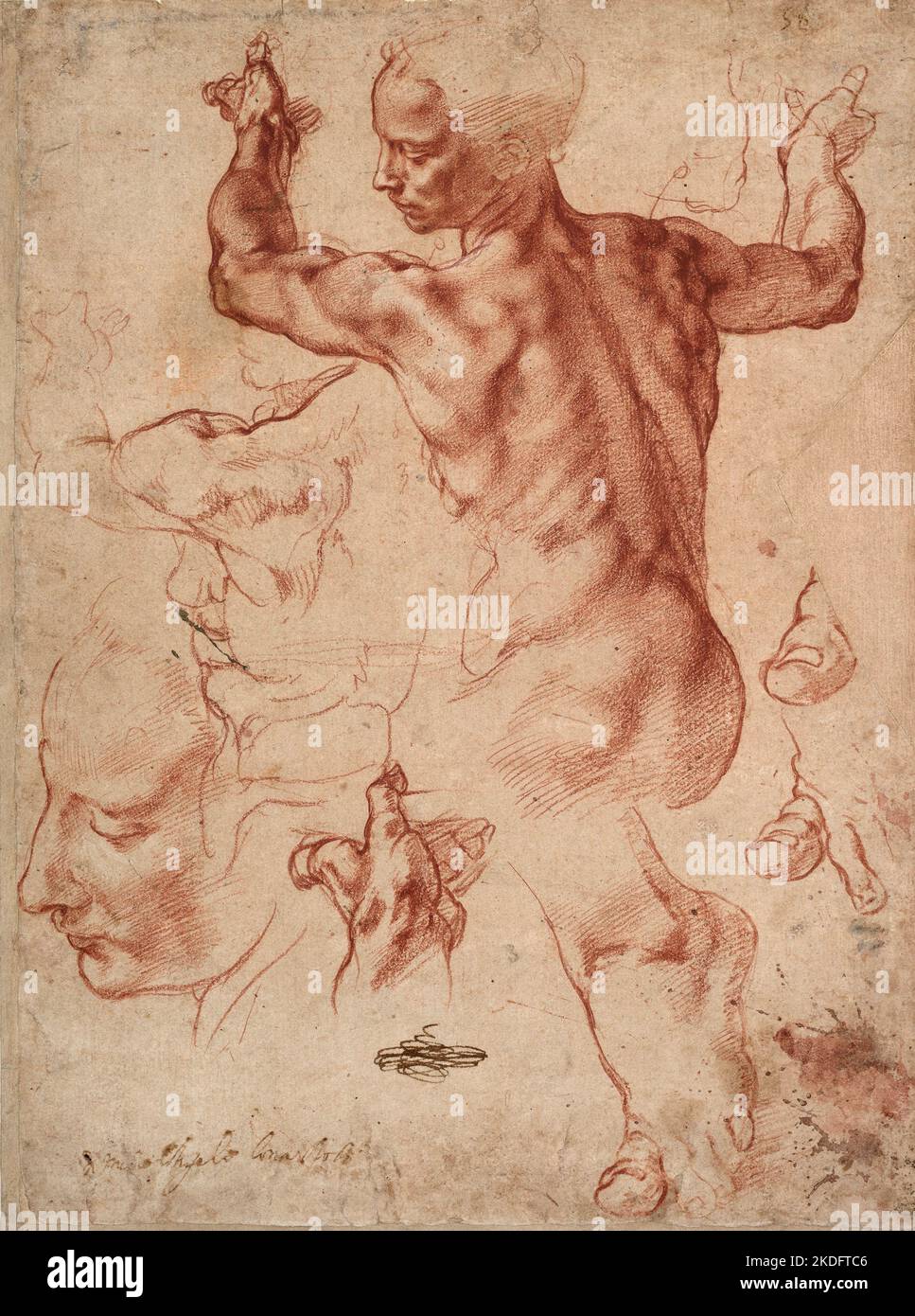 Sibyl (recto); Studi per il Sibyl Libico e un piccolo schizzo per una Figura seduta (verso) ca. 1510–11 Michelangelo Buonarroti Foto Stock