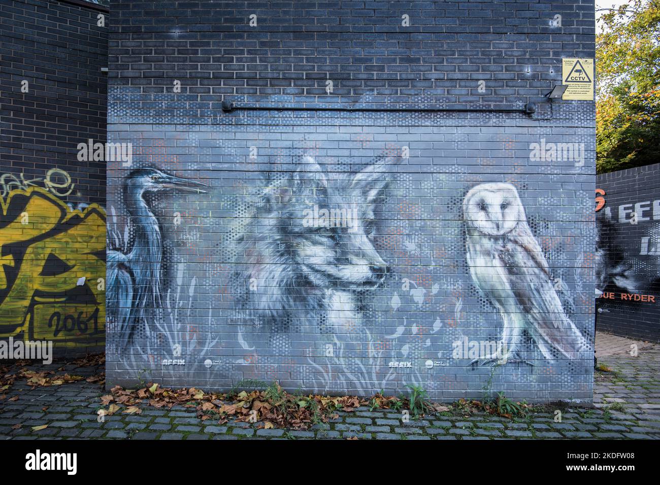 Una collezione di murales a Leeds, una foto che celebra le famose figure di Leeds, che accoglie i visitatori nell'area del Leeds Dock. Foto Stock