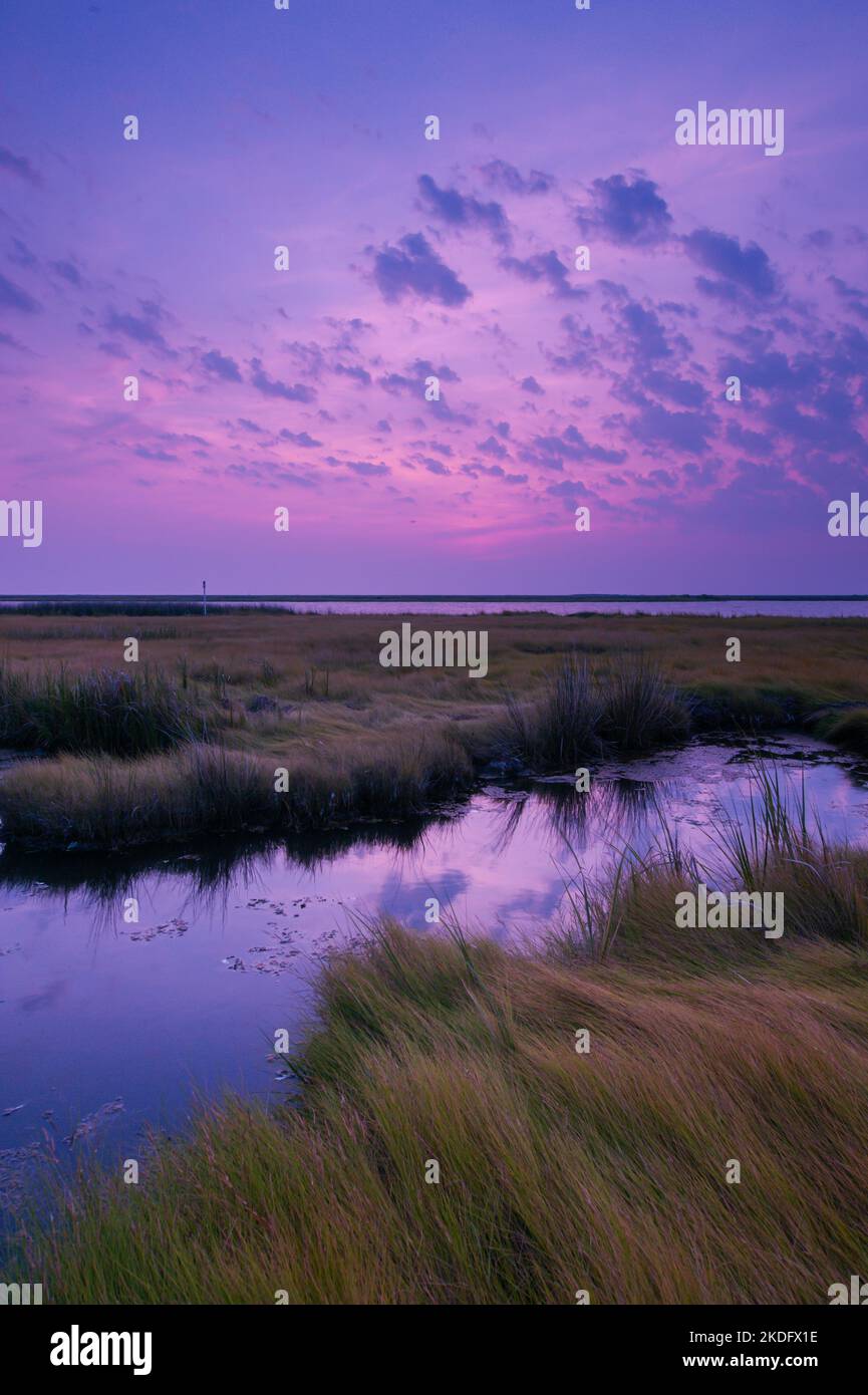 Alba nella baia di Chesapeake, il più grande estuario degli Stati Uniti Foto Stock