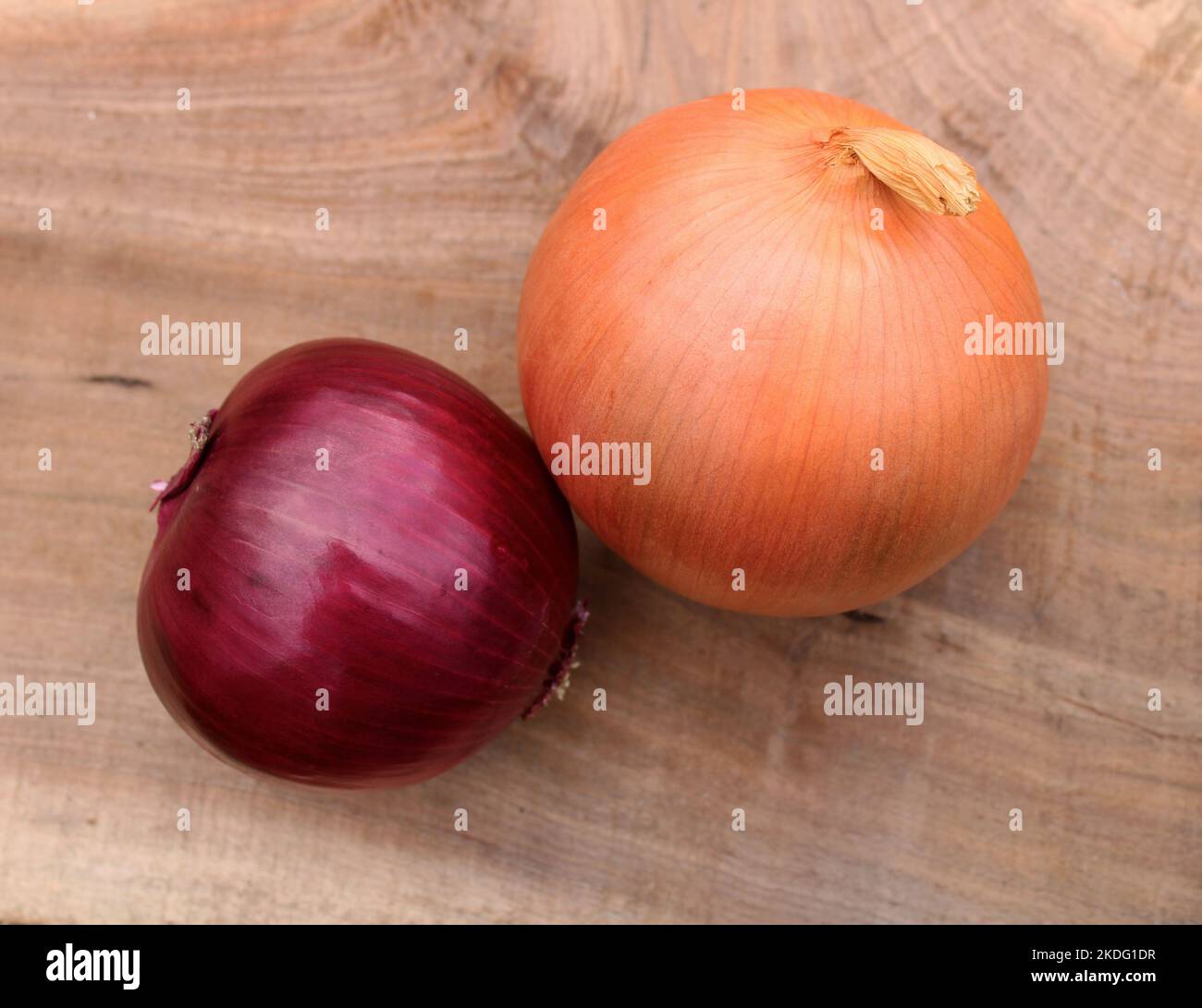 Una cipolla rossa e gialla su uno sfondo di legno di noce nero Foto Stock