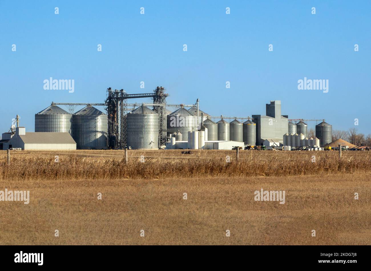 Skyline di contenitori per lo stoccaggio del grano e elevatore del grano di una cooperativa agricola a Eldridge, North Dakota Foto Stock
