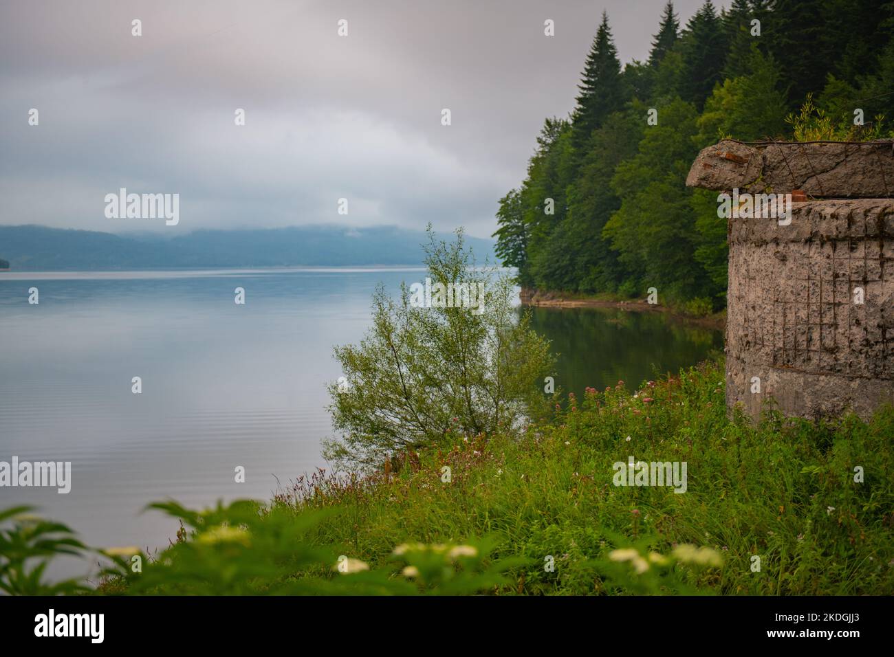 Il lago artificiale Shaor è molto pittoresco in estate Foto Stock