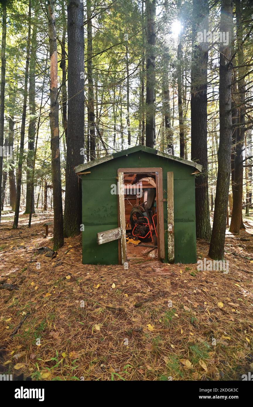 Casetta abbandonata in mezzo al bosco Foto Stock