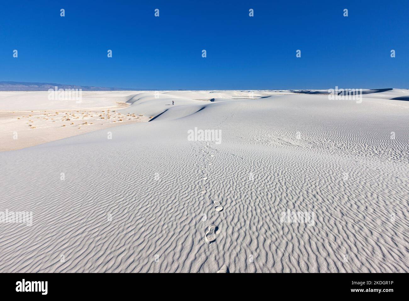 Esplorando il Parco Nazionale di White Sands, New Mexico Foto Stock