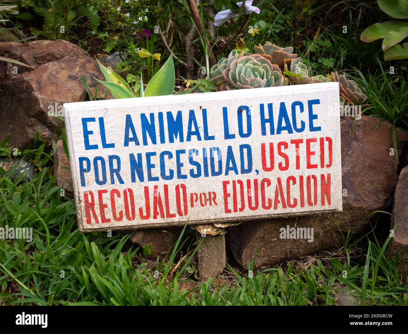 Jerico, Antioquia, Colombia - Aprile 5 2022: Segno che dice 'animale lo fa per necessità, pick it up per cortesia' Foto Stock