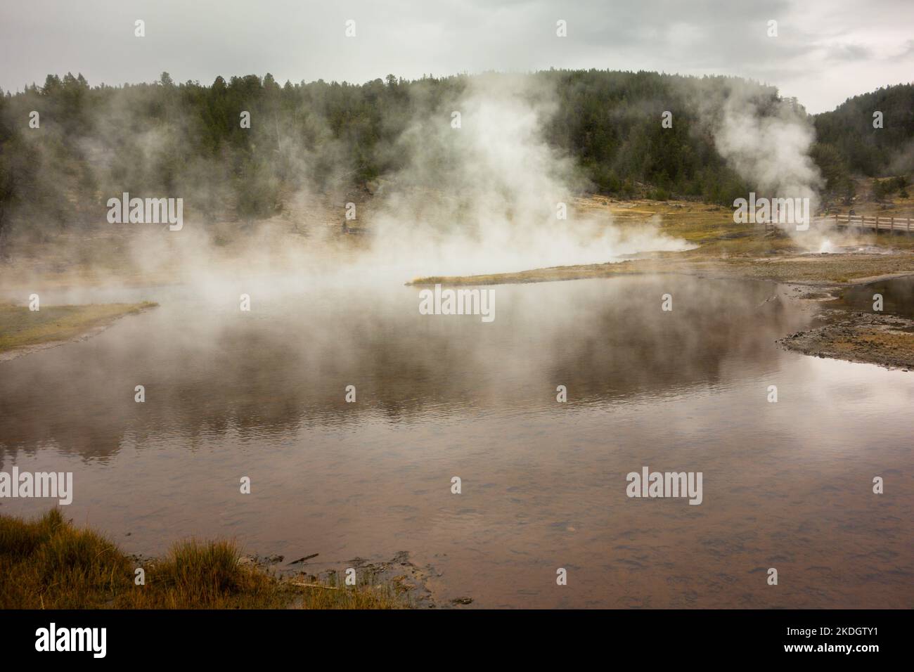 Attività geyser nel parco nazionale di Yellowstone Foto Stock