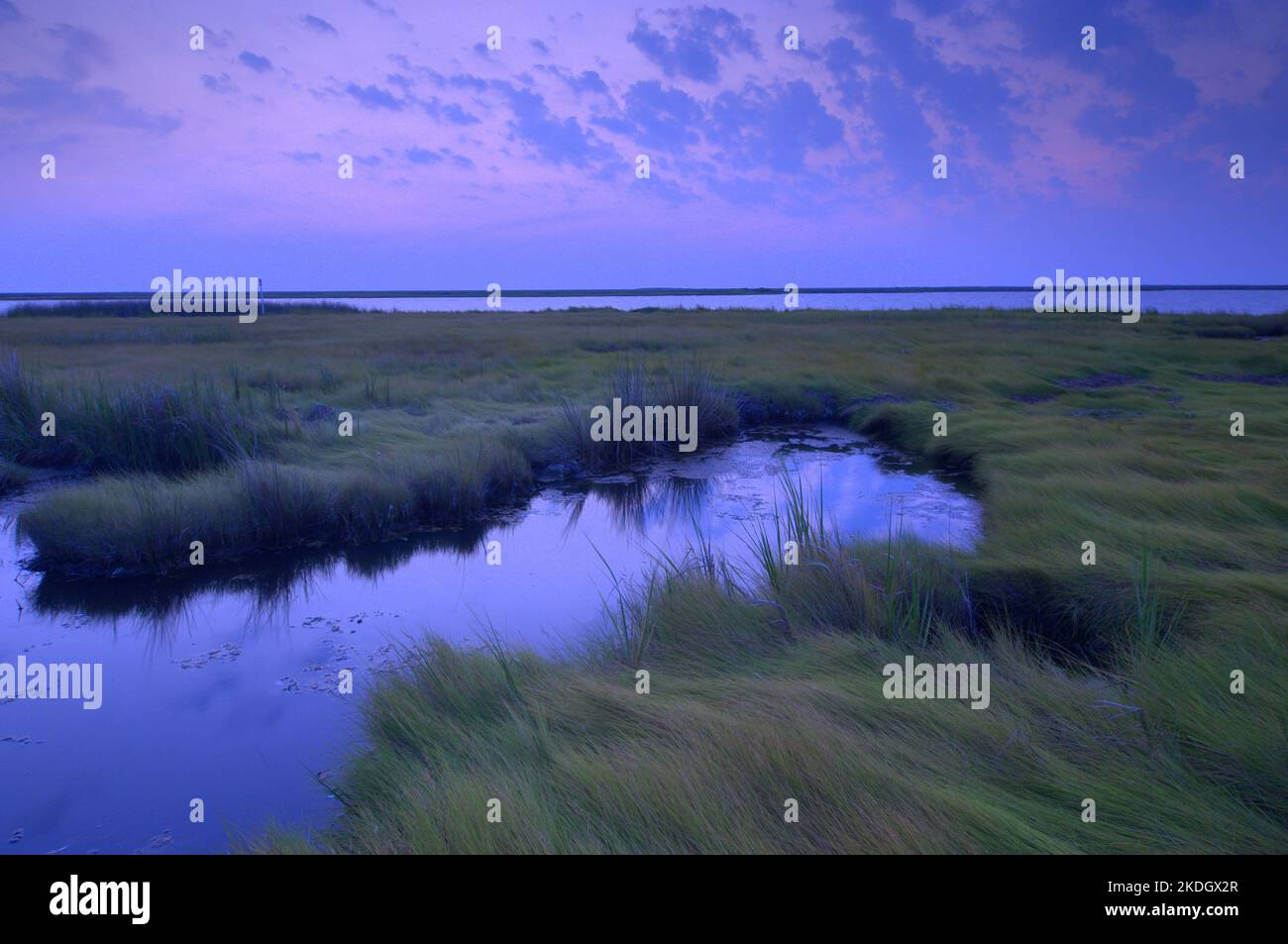 Alba nella baia di Chesapeake, il più grande estuario degli Stati Uniti Foto Stock