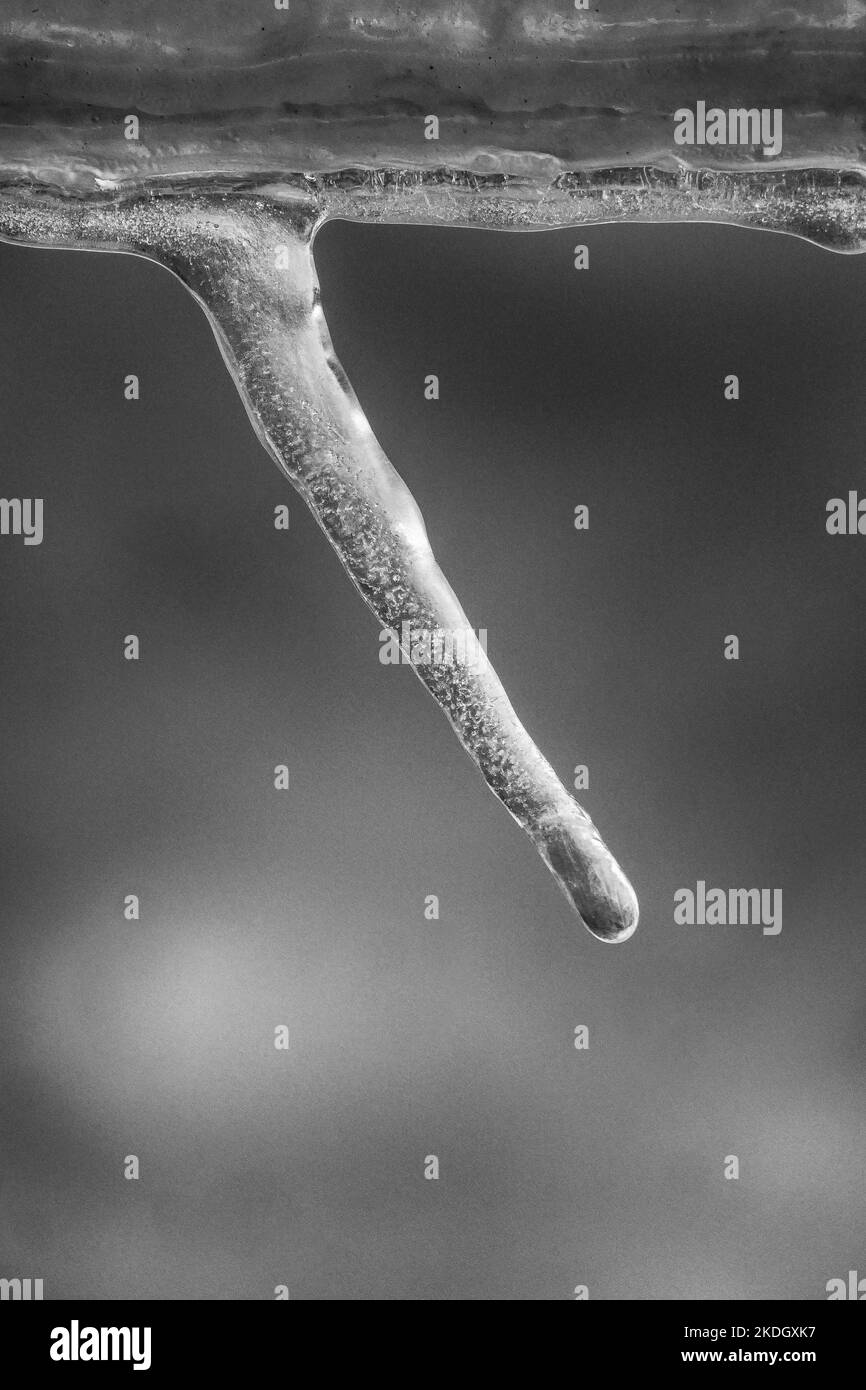 Ciclicoli su una nave da spedizione in Antartide Foto Stock