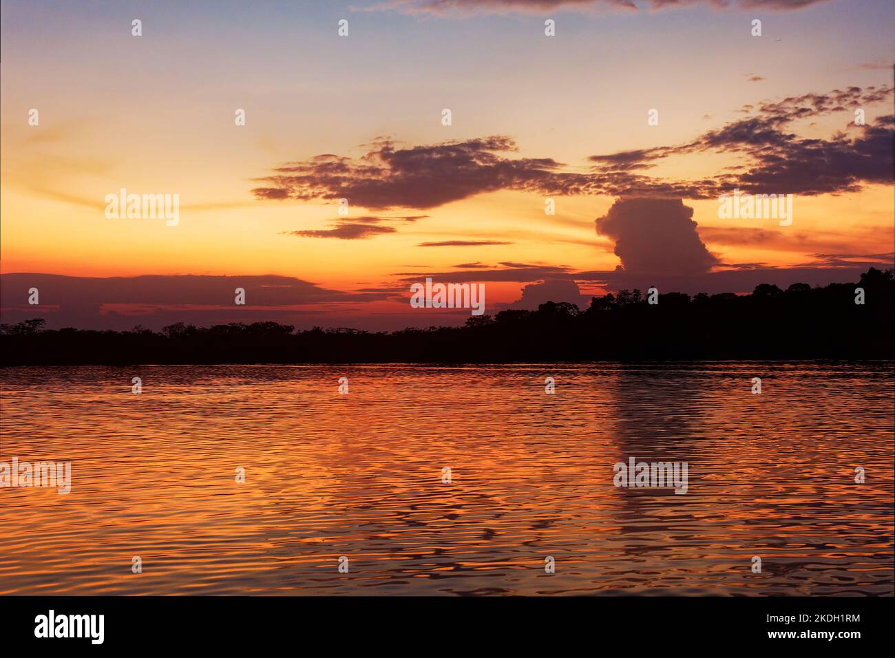 Paesaggio amazzonico, Cuyabeno in Ecuador, tramonto o alba nella zona umida, bella esperienza di viaggio, riflessione d'acqua. Foto Stock