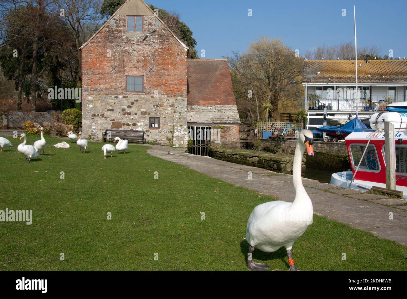 Place Mill, River Avon, Christchurch, Dorset, Inghilterra Foto Stock