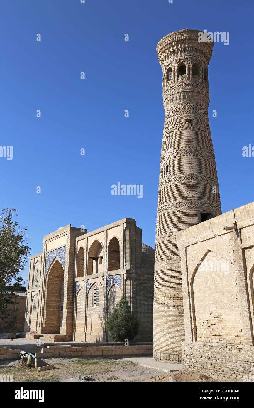 Gavkushon Madrasa e Khoja Kalon Minareto, Bakhauddin Naqshbandi Street, Centro storico, Bukhara, Provincia di Bukhara, Uzbekistan, Asia centrale Foto Stock