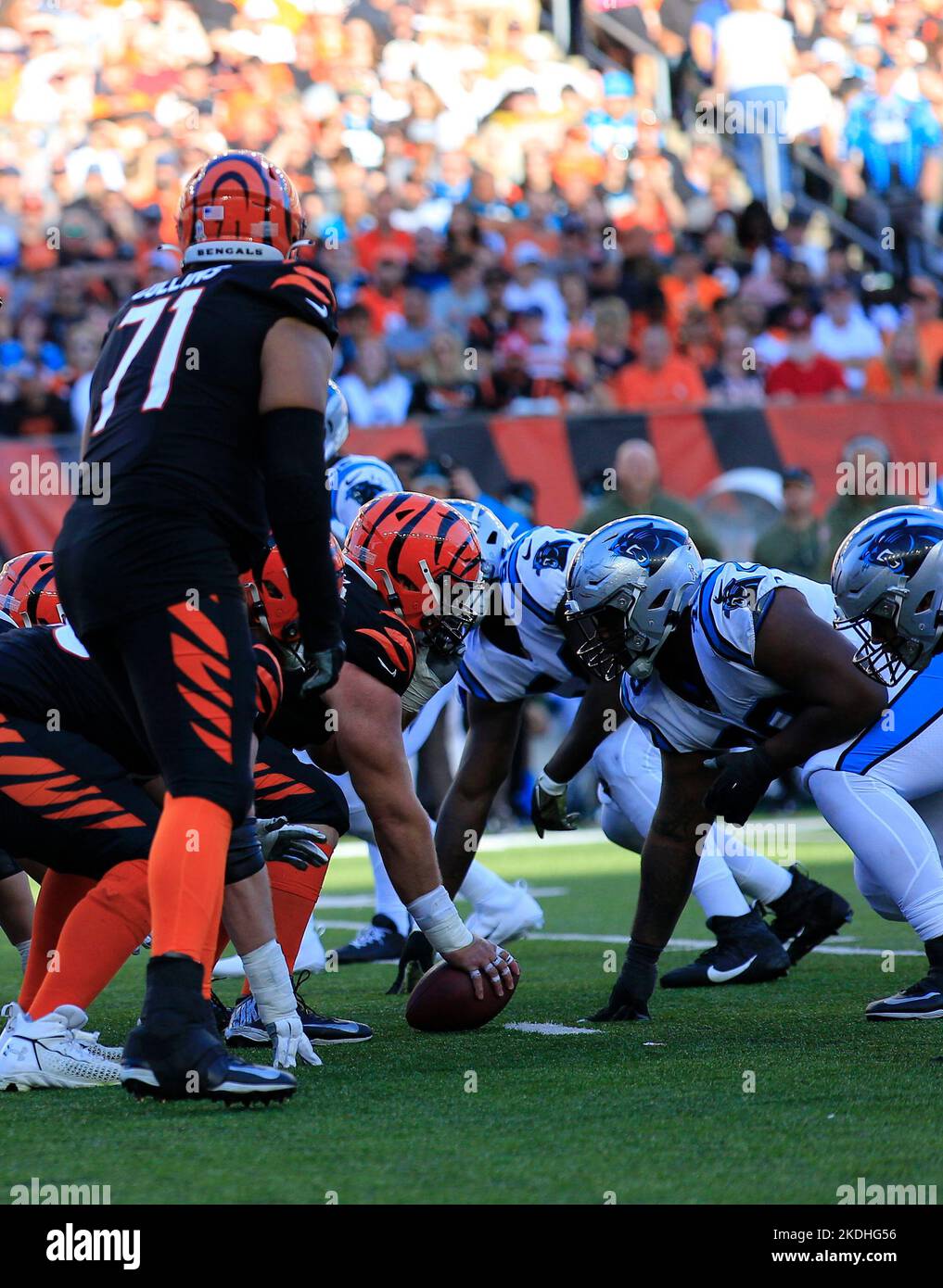 Cincinnati, Ohio, Stati Uniti. 6th Nov 2022. Brandon Allen (8) dei Cincinnati Bengals durante LA SETTIMANA 9 della stagione regolare di NFL fra i Carolina Panthers ed i Cincinnati Bengals a Cincinnati, Ohio. JP Waldron/Cal Sport Media/Alamy Live News Foto Stock