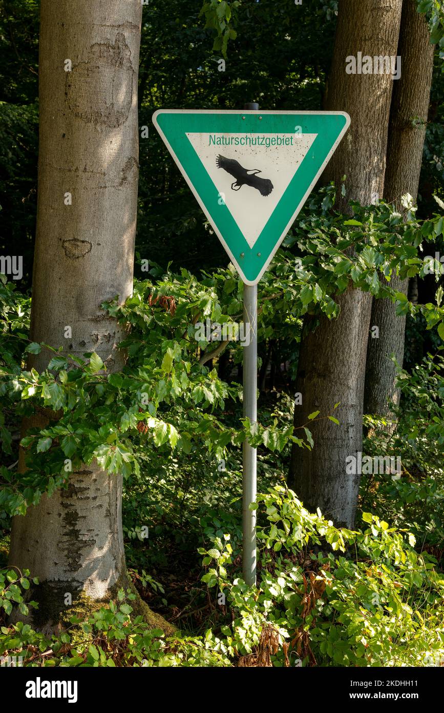 Cartello “Naturschutzgebiet” ai margini di una foresta, che segna una riserva naturale e una zona di conservazione, Germania Foto Stock