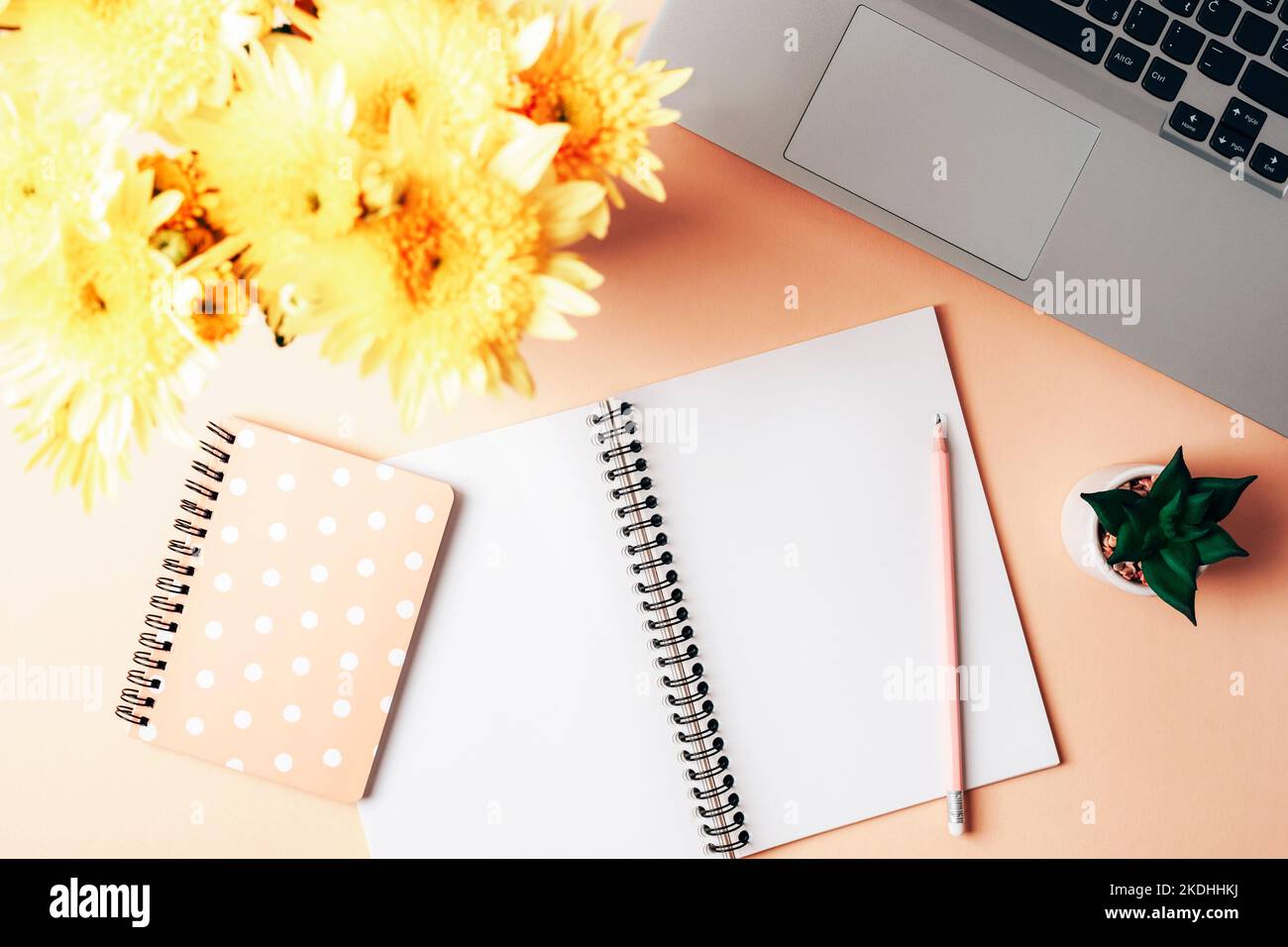 Desktop rosa con notebook, computer portatile, matita, bouquet di fiori gialli e pianta succulenta. Vista dall'alto, disposizione piatta. Foto Stock