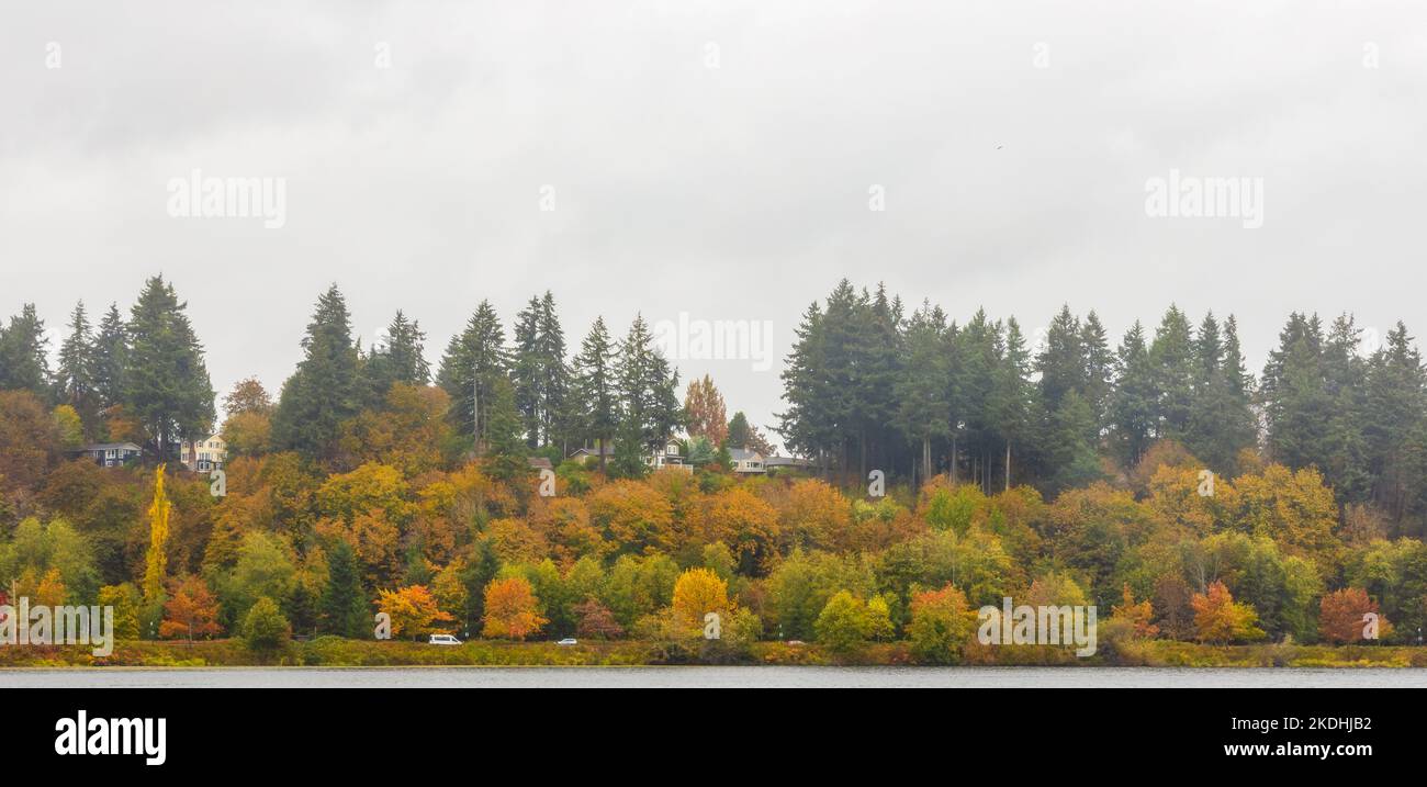 Panorama autunnale nel Marathon Park lungo Capitol Lake ad Olympia, Washington Foto Stock