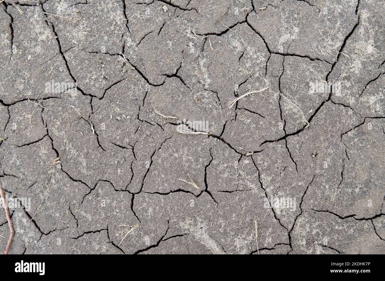 Disidratazione esaurimento della superficie terrestre. Concetto di problemi ambientali globali. Può essere utilizzato come sfondo astratto grigio con spazio di copia. Foto Stock