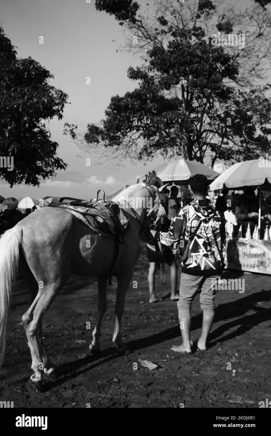 Cikancung, West Java, Indonesia - 23 Ottobre, 2022 : Foto in bianco e nero, Foto monocromatica di un cavallo in affitto ai visitatori Foto Stock