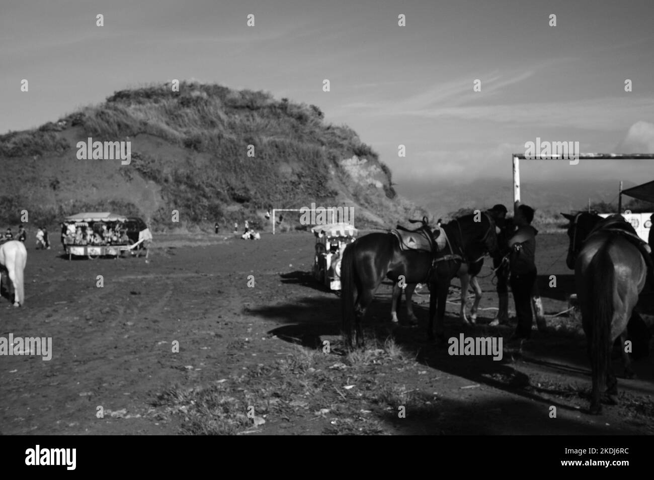 Cikancung, West Java, Indonesia - 23 Ottobre, 2022 : Foto in bianco e nero, Foto monocromatica di un cavallo in affitto ai visitatori Foto Stock