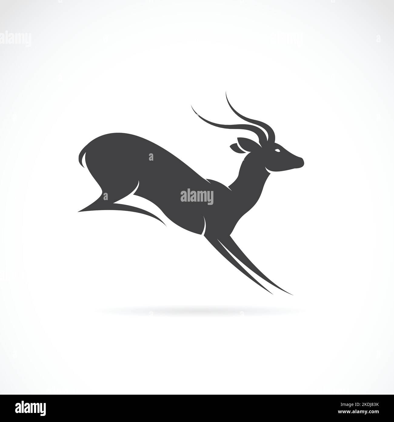 Immagine vettoriale del disegno del cervo su sfondo bianco. Illustrazione vettoriale a livelli facilmente modificabile. Animali selvatici. Illustrazione Vettoriale