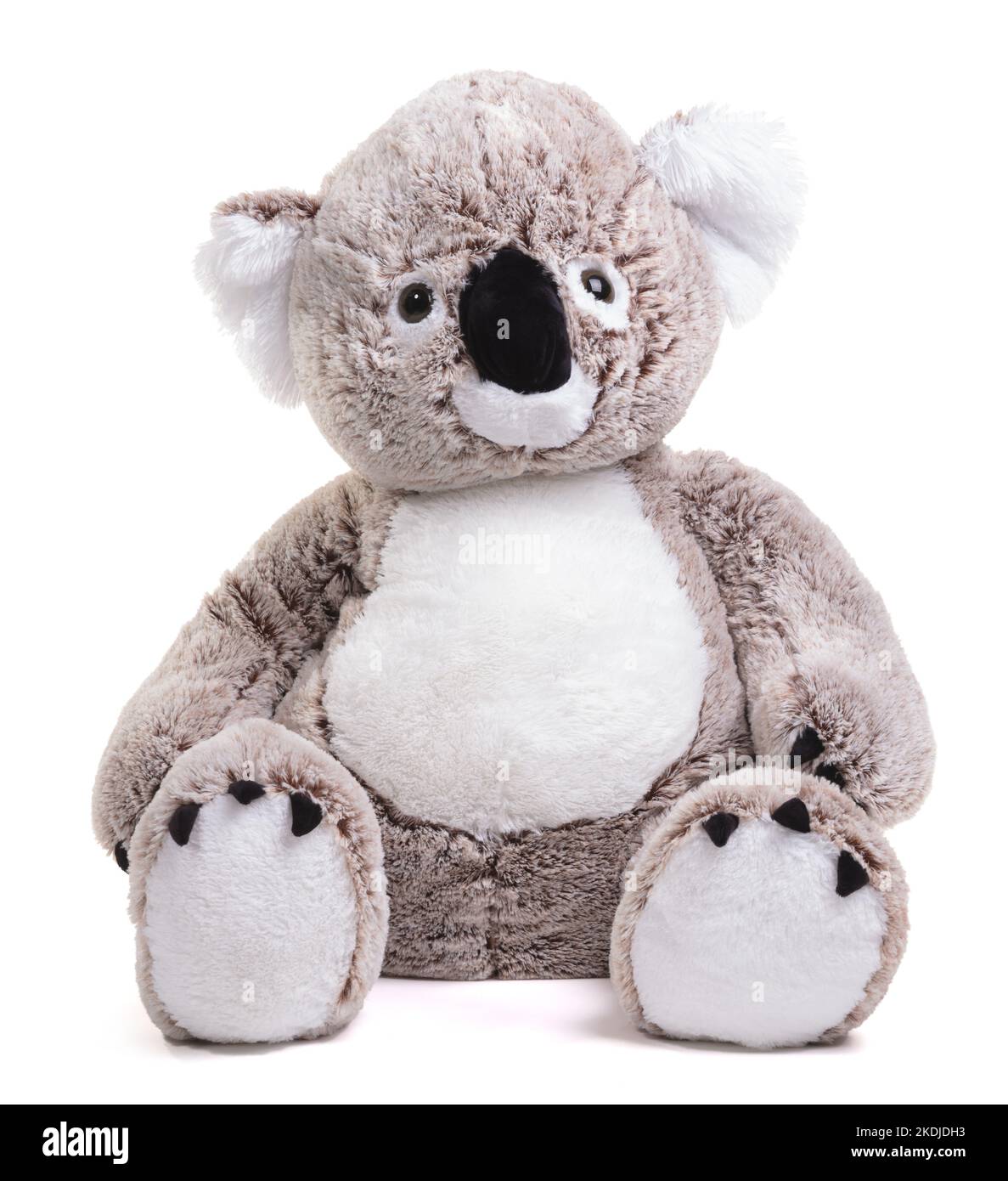 Peluche orsetto koala Immagini senza sfondo e Foto Stock ritagliate - Alamy