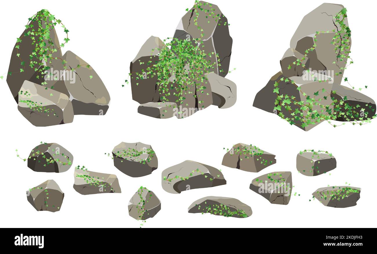 Ciottoli costieri, ciottoli, ghiaia, minerali e formazioni geologiche.frammenti di roccia,massi.Collezione di pietre di varie forme e piante, per Illustrazione Vettoriale