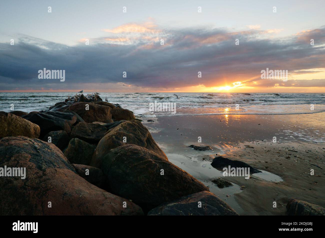 Tramonto sulla spiaggia in Danimarca. Pietra groyne in primo piano. Passeggiata sulla costa nella sabbia. Paesaggio foto sul mare Foto Stock