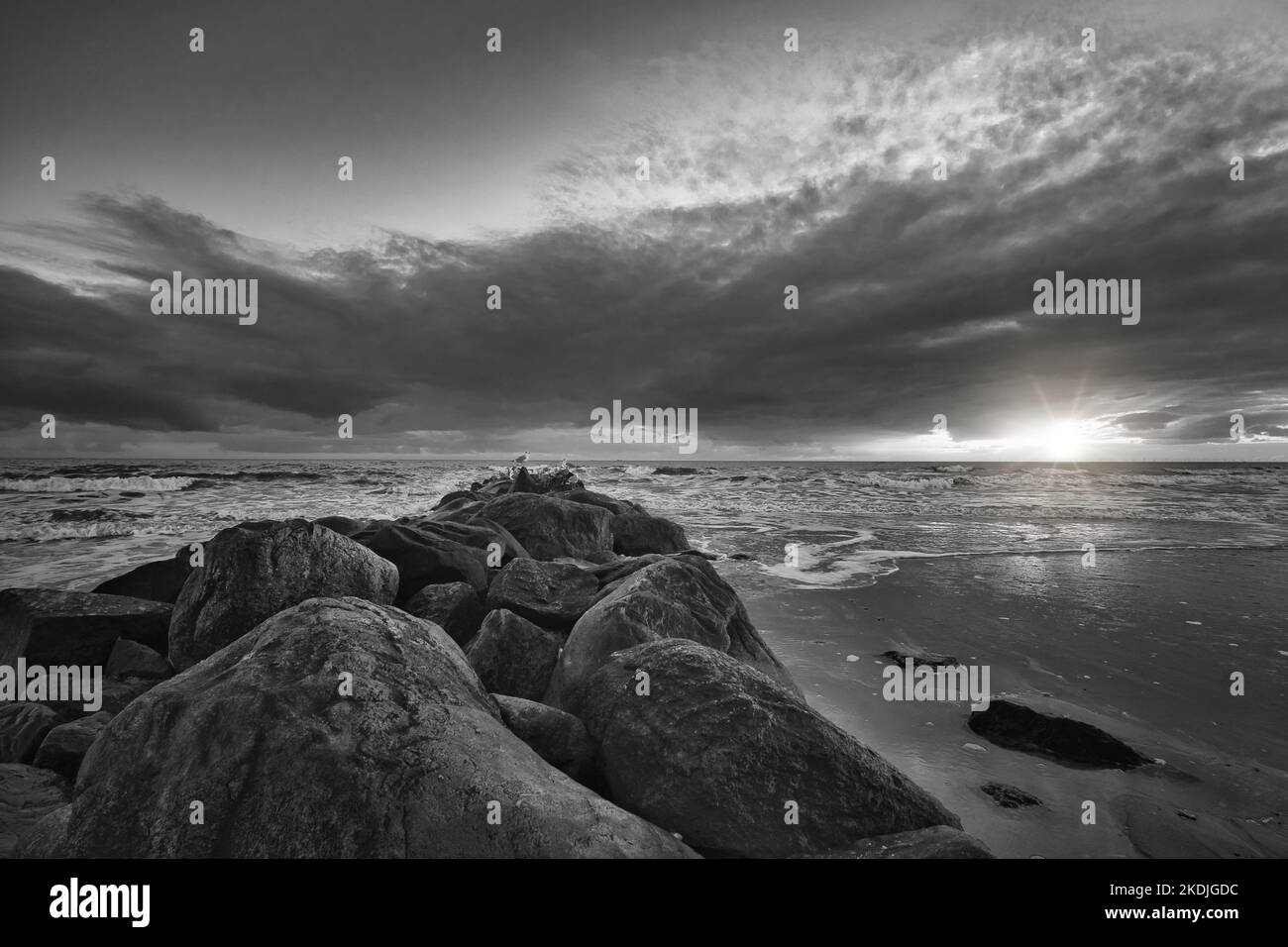 Tramonto sulla spiaggia in Danimarca in bianco e nero. Pietra groyne in primo piano. Passeggiata sulla costa nella sabbia. Paesaggio foto sul mare Foto Stock