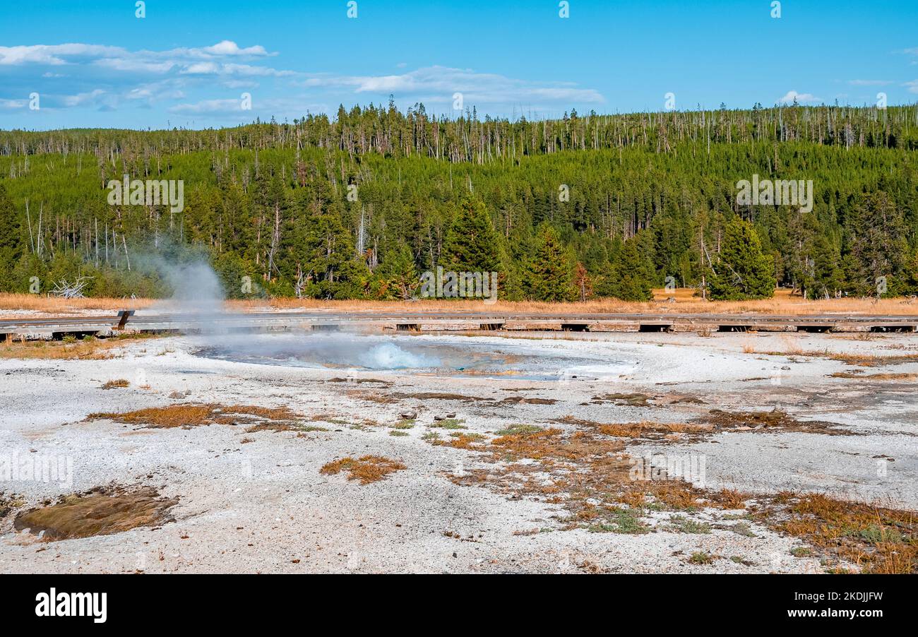 Vista dell'emissione di fumo dal geyser nella foresta nel parco nazionale di Yellowstone Foto Stock