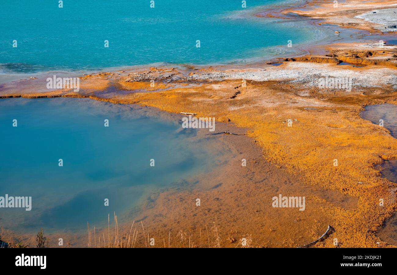 Vista ravvicinata della Black Opal Pool nel paesaggio geotermico del parco di Yellowstone Foto Stock