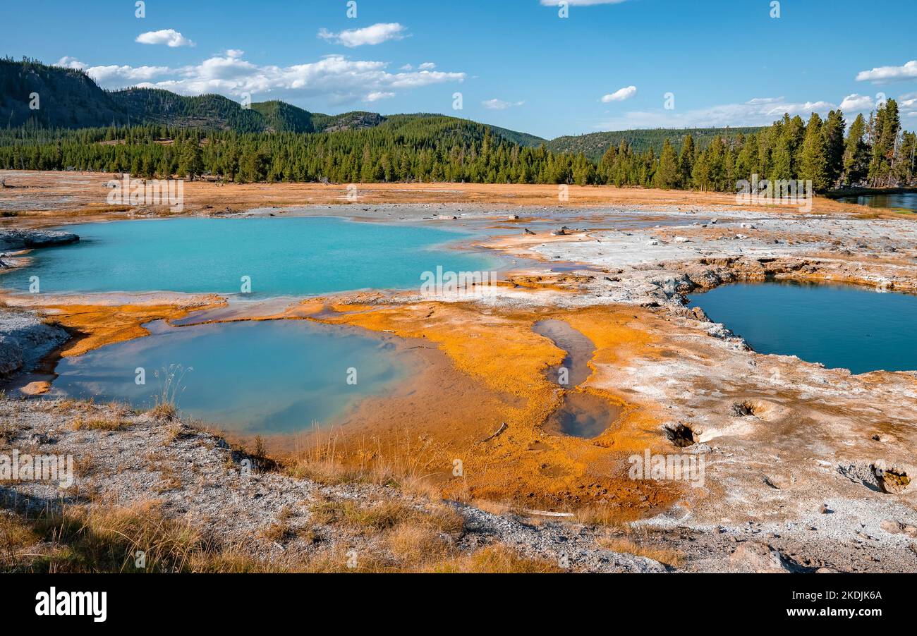 Splendida piscina nera in opale tra il paesaggio geotermico del parco di Yellowstone Foto Stock