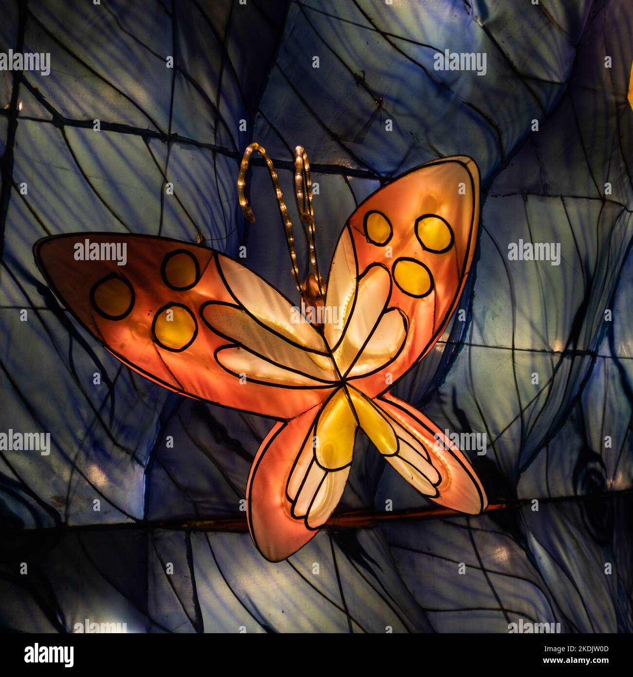 Farfalla artistica fatta a mano che illumina di notte con luci al neon all'interno di un giardino notturno Foto Stock