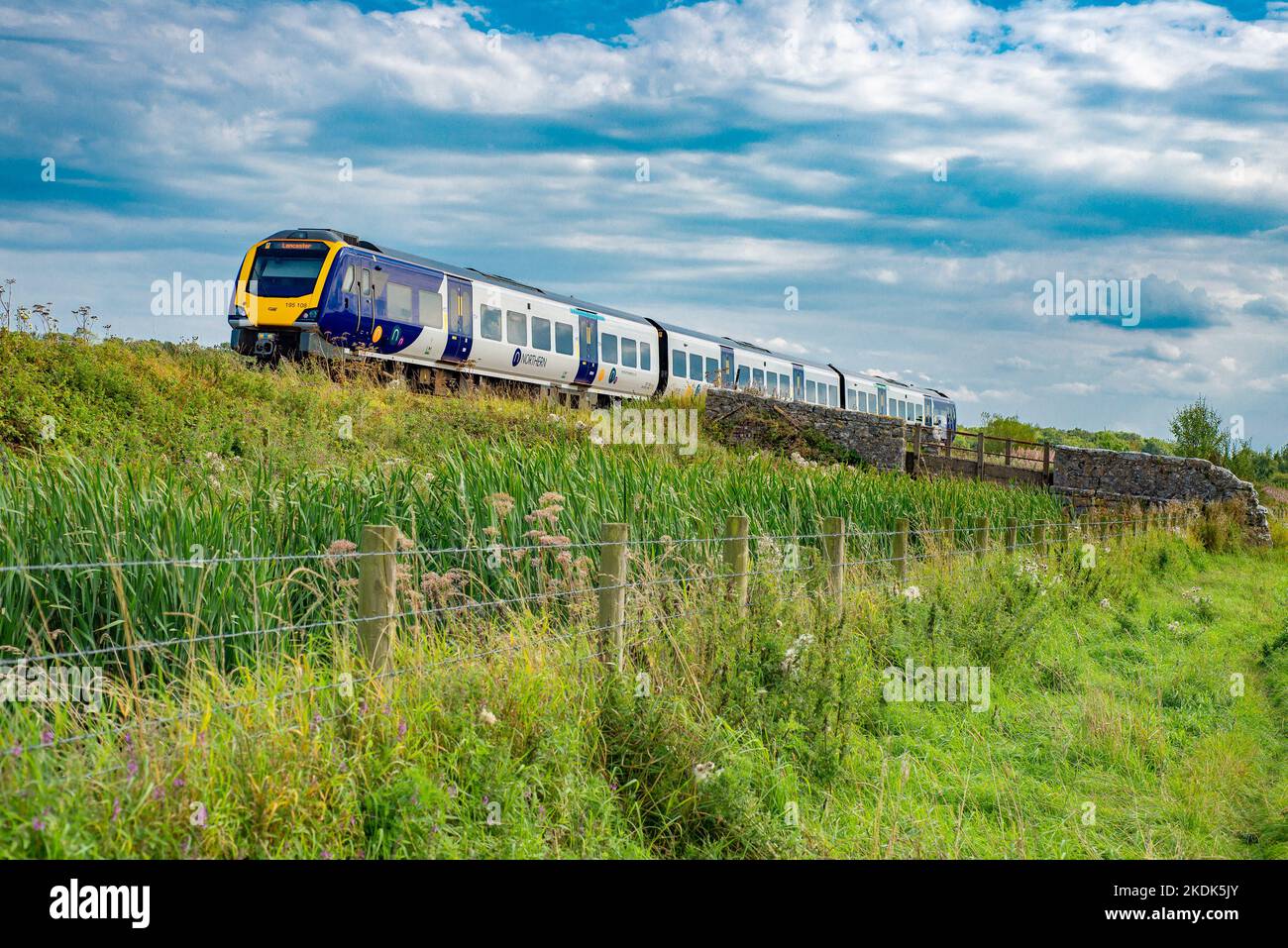 Un treno del nord che viaggia tra Silverdale e Arnside, Cumbria, Regno Unito. Foto Stock