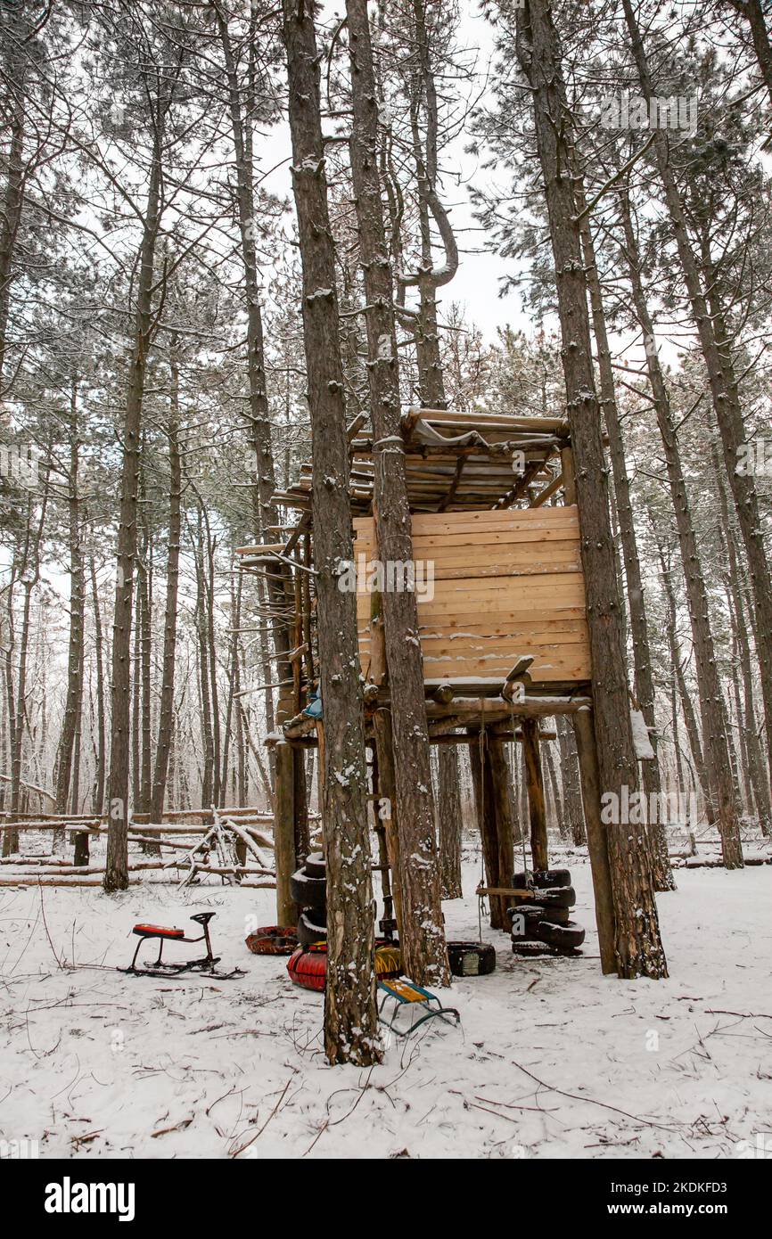 Una casa sugli alberi in una pineta innevata, parco giochi nella foresta, in natura. Foto Stock