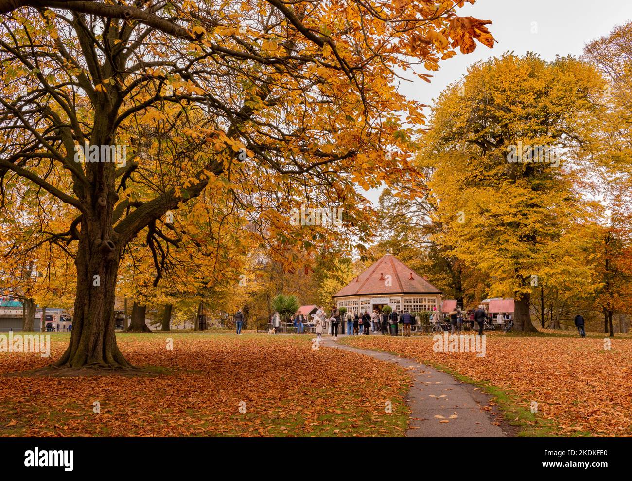 Sale da tè nel Phoenix Park con colori autunnali Foto Stock