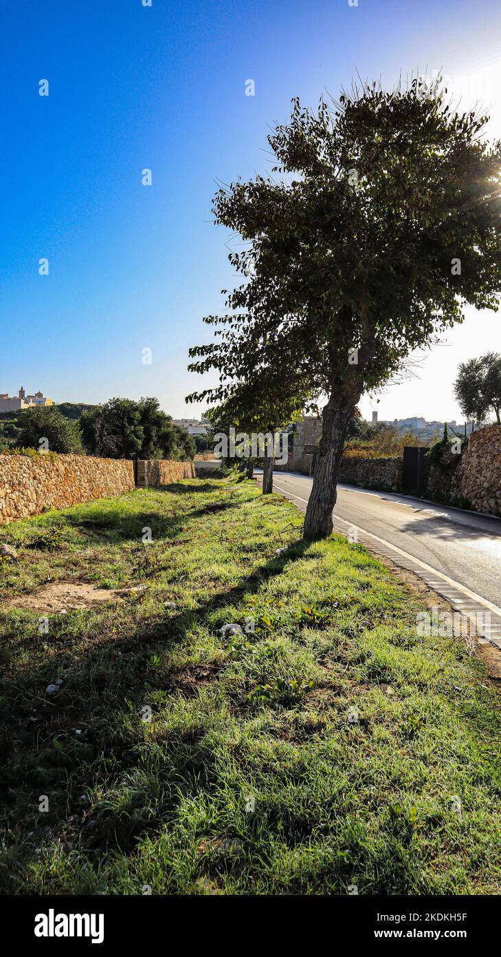 Strada di campagna nei pressi di Santa Lucija, sull'isola mediterranea di Gozo, nell'arcipelago maltese. Foto Stock