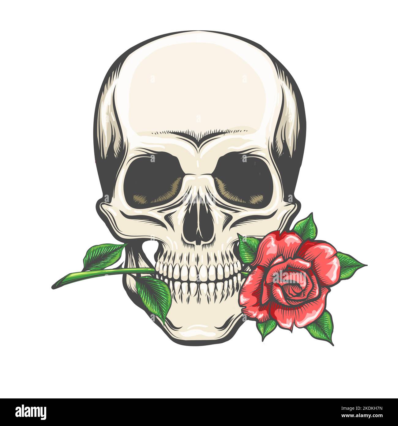 Tatuaggio di cranio con una Rosa nei denti isolato su bianco. Illustrazione vettoriale. Illustrazione Vettoriale