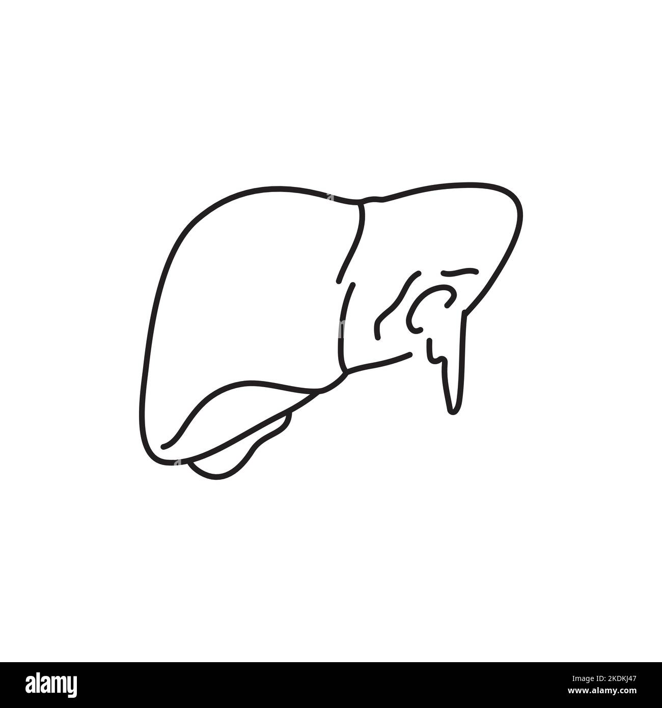 Icona della linea di colore del fegato per sanguinamento parenchimale. Concetto di lesioni. Illustrazione Vettoriale