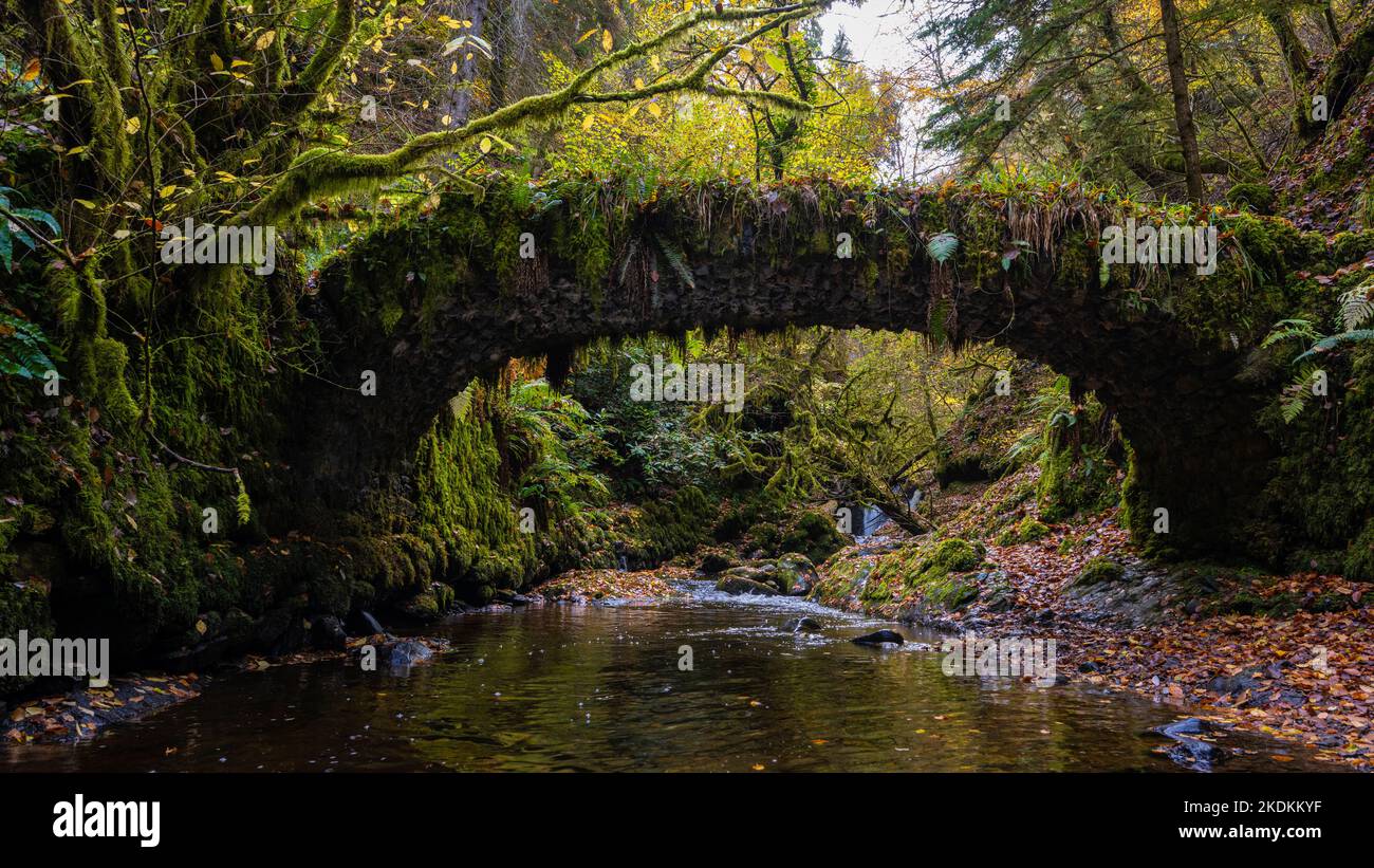 Il vecchio ponte alla testa di Reelig Glen, Inverness Foto Stock