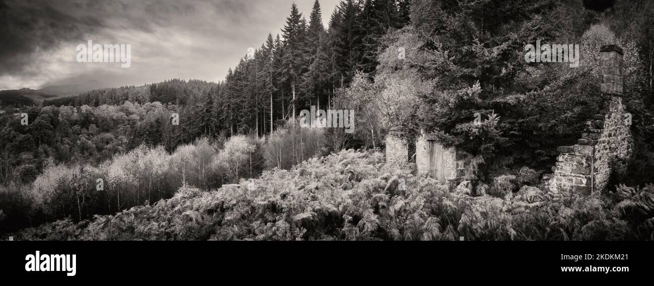 Daffodil cottage nel villaggio perduto di Eskart alto sul lato settentrionale di Glen Coiltie che domina Drumnadrochit e Loch Ness. Foto Stock