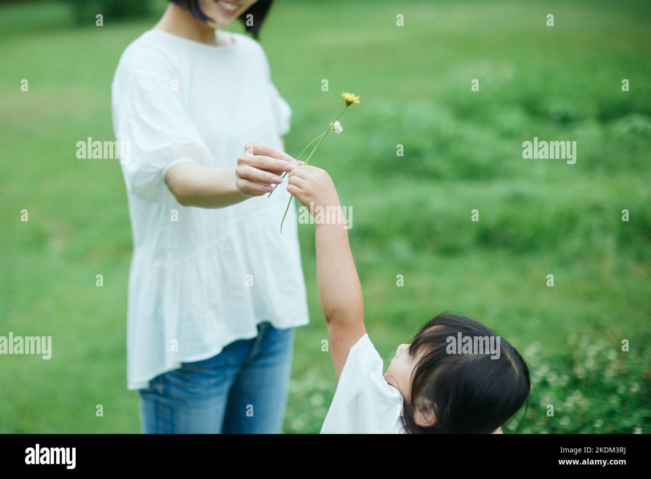 Bambino giapponese con la madre al parco cittadino Foto Stock